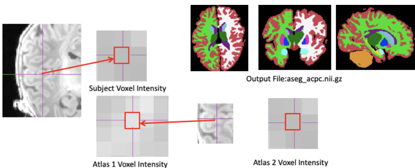 T1T2 JLF Example