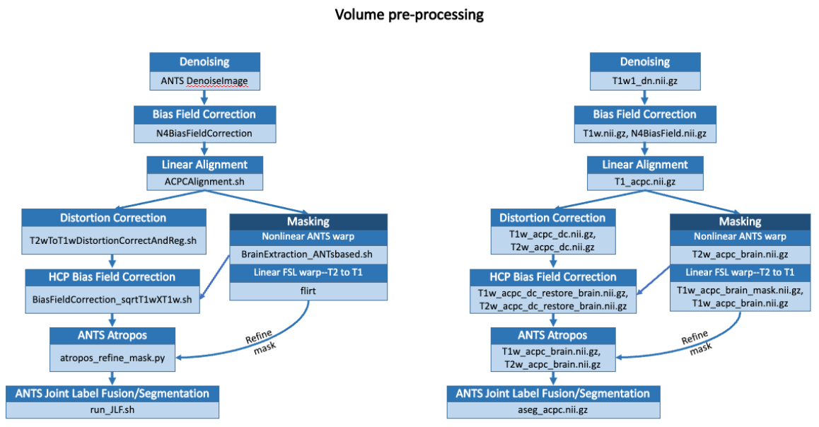 Volume Preprocessing Flowchart