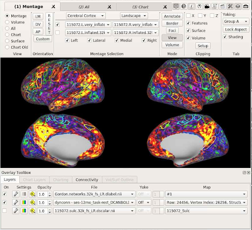 Example of wb_view
